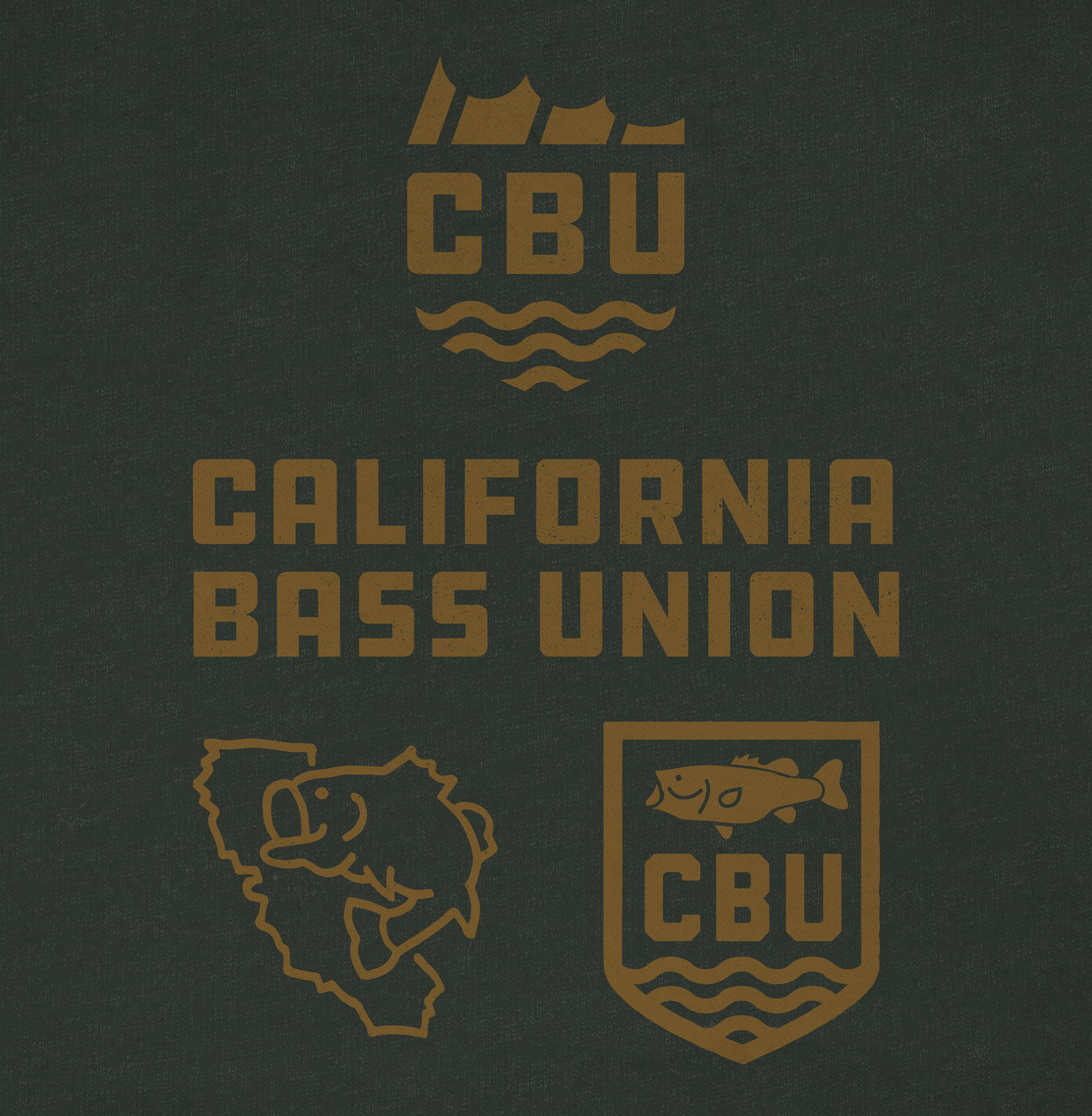 CR Fly Fishing